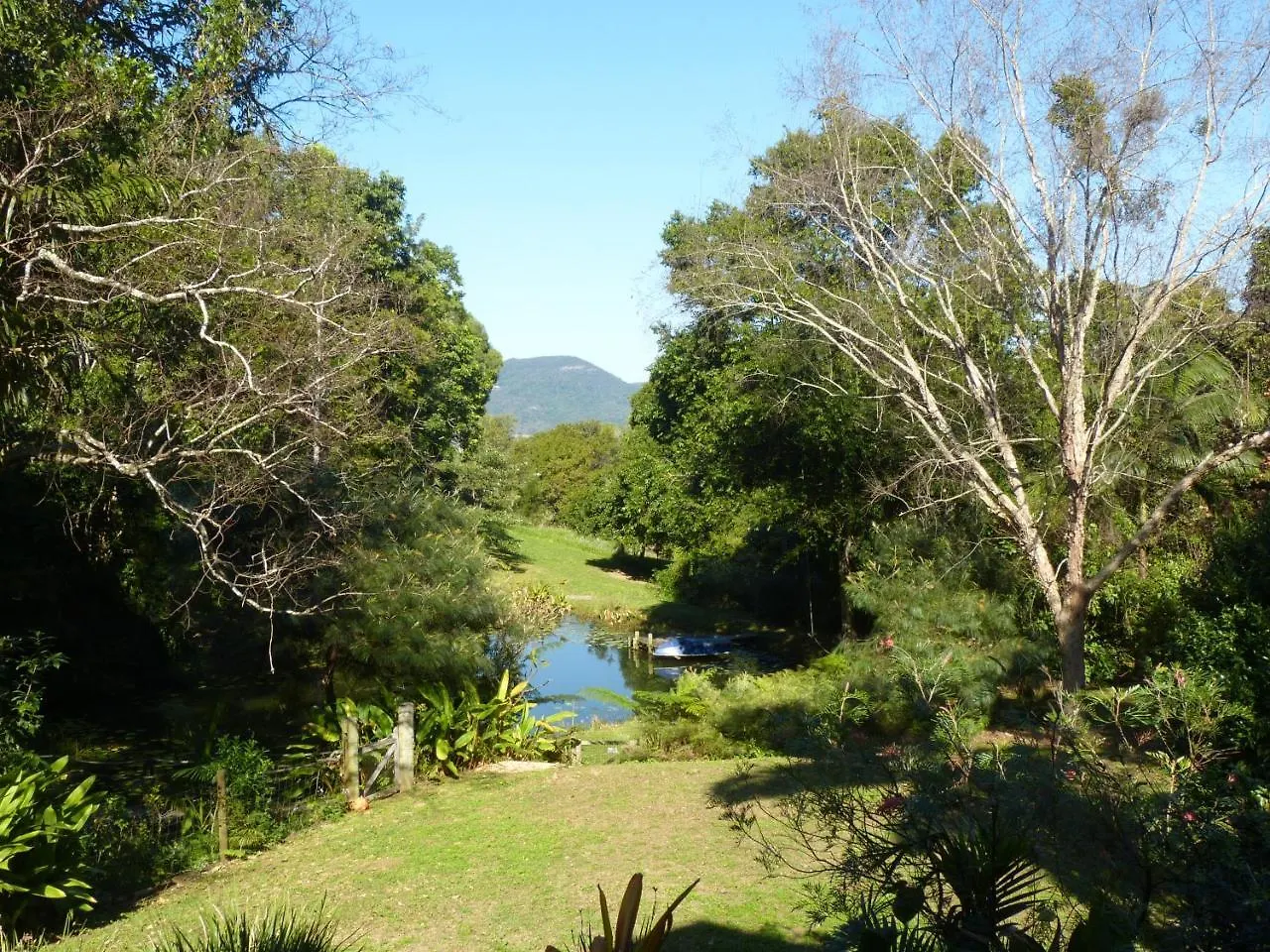 Magnolia Cottage Cooroy 0*,