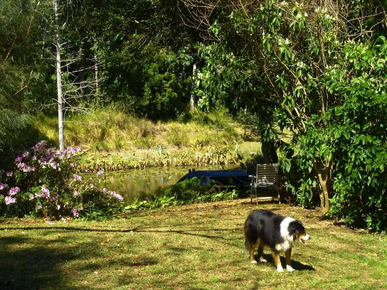 Magnolia Cottage Cooroy Holiday home